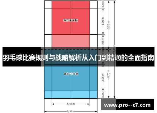 羽毛球比赛规则与战略解析从入门到精通的全面指南