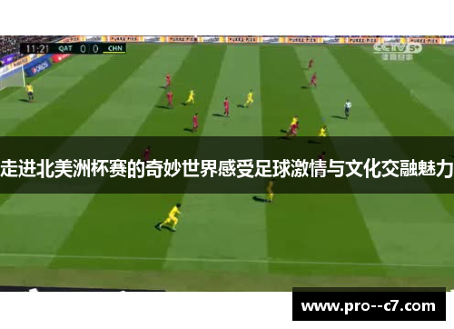 走进北美洲杯赛的奇妙世界感受足球激情与文化交融魅力