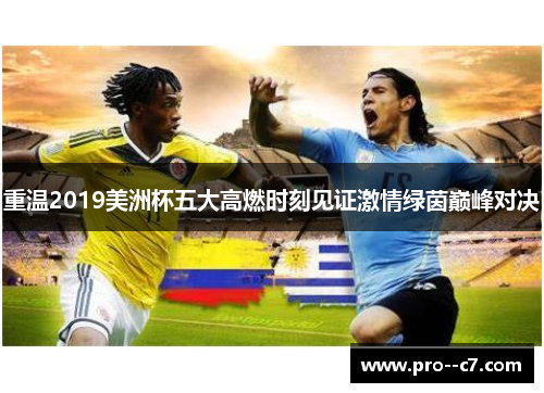 重温2019美洲杯五大高燃时刻见证激情绿茵巅峰对决 重温2019美洲杯五大高燃时刻见证激情绿茵巅峰对决