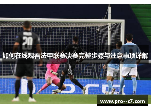 如何在线观看法甲联赛决赛完整步骤与注意事项详解