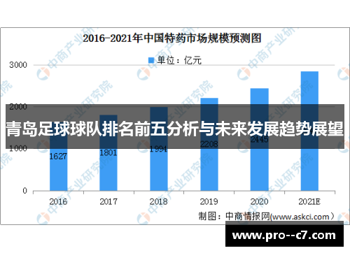 青岛足球球队排名前五分析与未来发展趋势展望
