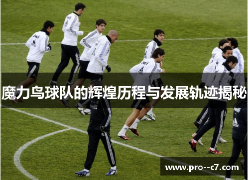 魔力鸟球队的辉煌历程与发展轨迹揭秘