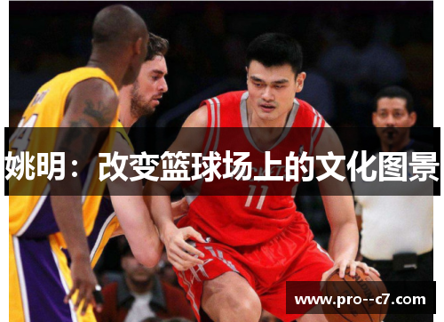 姚明：改变篮球场上的文化图景