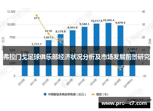 弗拉门戈足球俱乐部经济状况分析及市场发展前景研究