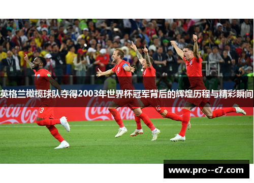 英格兰橄榄球队夺得2003年世界杯冠军背后的辉煌历程与精彩瞬间