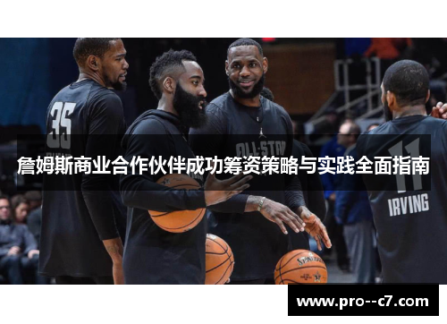 詹姆斯商业合作伙伴成功筹资策略与实践全面指南