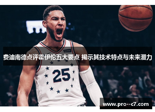 费迪南德点评霍伊伦五大要点 揭示其技术特点与未来潜力 费迪南德点评霍伊伦五大要点 揭示其技术特点与未来潜力