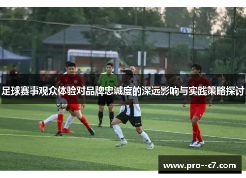 足球赛事观众体验对品牌忠诚度的深远影响与实践策略探讨