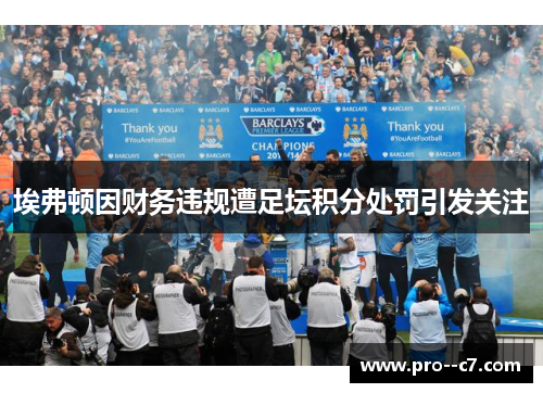 埃弗顿因财务违规遭足坛积分处罚引发关注 埃弗顿因财务违规遭足坛积分处罚引发关注