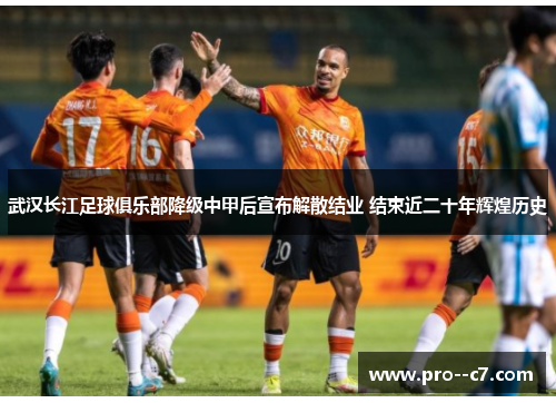 武汉长江足球俱乐部降级中甲后宣布解散结业 结束近二十年辉煌历史 武汉长江足球俱乐部降级中甲后宣布解散结业 结束近二十年辉煌历史